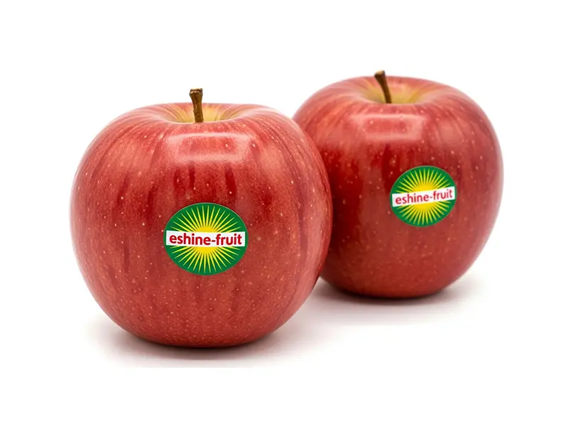 High-Quality Waterproof Self-Adhesive Labels for Fresh Produce