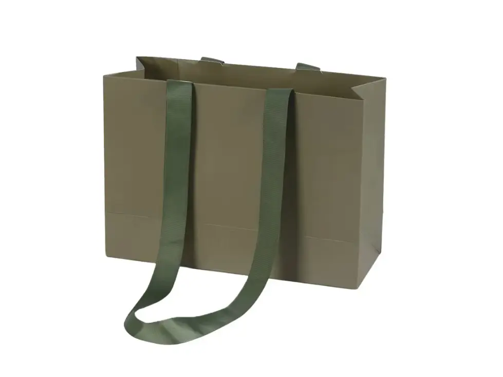 These custom printed paper bags are designed for shoes and clothing packaging, combini.jpg