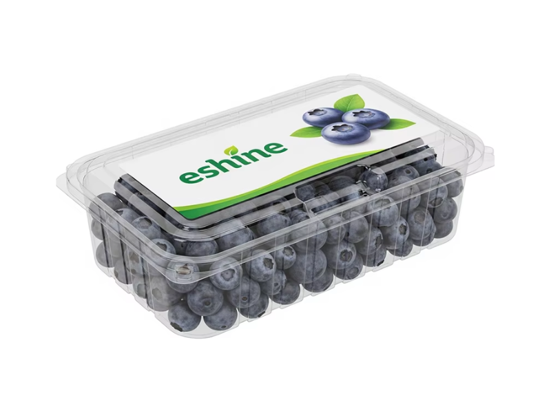 Waterproof Freezer Food Packaging Custom Printed Stickerspng